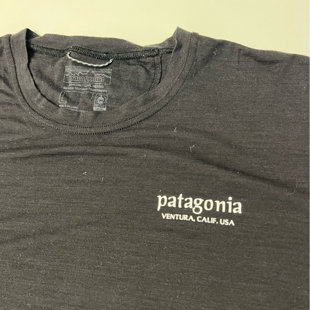 Patagonia Long-Sleeved Capilene® Cool Merino Graphic Shirt